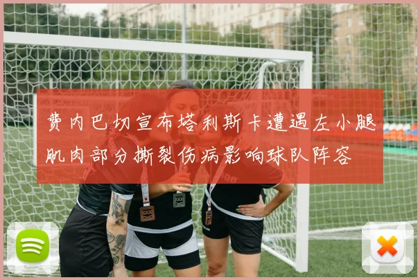 费内巴切宣布塔利斯卡遭遇左小腿肌肉部分撕裂伤病影响球队阵容