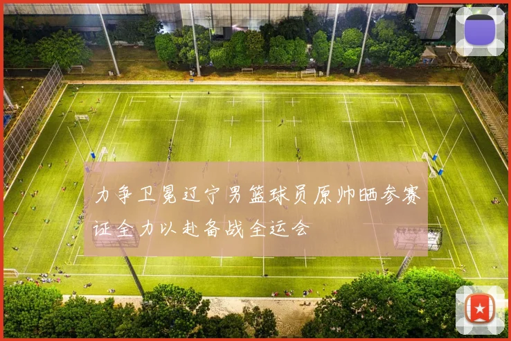 力争卫冕辽宁男篮球员原帅晒参赛证全力以赴备战全运会